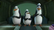L-R: Rico, Private, Kowalski