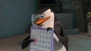 Skipper