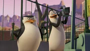 L-R: Skipper, Kowalski