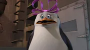 Skipper