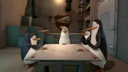 L-R: Private, Rico, Skipper, Kowalski