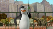 Kowalski