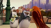 L-R: Kowalski, Skipper, Kitka
