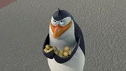 Rico