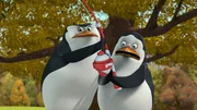 L-R: Skipper, Private