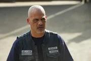 David Labrava as Happy.