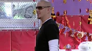 Pitbull
