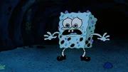 SpongeBob