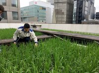 Viele Vorteile, die für die neue Form der Landwirtschaft sprechen: Keine Transportwege und damit weniger C02-Ausstoß. Das Gemüse ist frischer, wächst quasi vor der Haustür – und schmeckt besser. Viele Vorteile, die für die neue Form der Landwirtschaft sprechen: Keine Transportwege und damit weniger C02-Ausstoß. Das Gemüse ist frischer, wächst quasi vor der Haustür – und schmeckt besser.