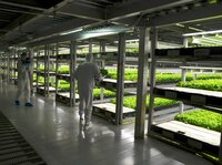 Vertikale Landwirtschaft oder "vertical farming" ist ein Begriff der Zukunftstechnologie, die eine tragfähige Landwirtschaft und Massenproduktion pflanzlicher und tierischer Erzeugnisse im Ballungsgebiet der Städte in mehrstöckigen Gebäuden ermöglichen soll. Sie ist damit eine Sonderform der urbanen Landwirtschaft. Vertikale Landwirtschaft oder "vertical farming" ist ein Begriff der Zukunftstechnologie, die eine tragfähige Landwirtschaft und Massenproduktion pflanzlicher und tierischer Erzeugnisse im Ballungsgebiet der Städte in mehrstöckigen Gebäuden ermöglichen soll. Sie ist damit eine Sonderform der urbanen Landwirtschaft.