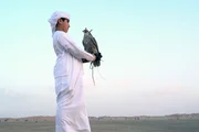 Am liebsten fährt Ali mit seiner Familie in die Wüste, um seinen Falken zu dressieren. Er ist ein Geschenk seines Vaters.