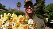 John Cena