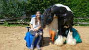 Anna und Tinkerhengst "Cony" haben es sich in der Sonne gemütlich gemacht.