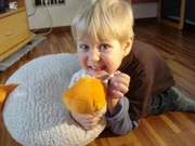 Noah_1