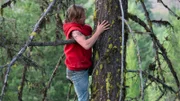 Bear Brown climbs a tree to track from on high.