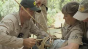 The protection of the reptiles was very important to Steve, he spent about half of each year alone in the bush helping. The work is now being continued by his family, because the saltwater crocodile is still considered endangered today.