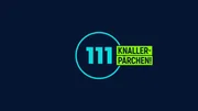 111 alberne Angeber! - Logo