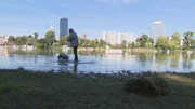 Schlingpflanzenreinigung