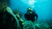 Josh scuba dive to shipwrecks in the Bermuda Triangle.