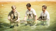 Robert (l.) gets in the water with Gloria, a 12-foot reticulated python, to swim alongside her for the first time in the Crocoseum.