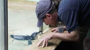 Susan Schmid mit dem kleinen Pinguin JP.