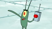 Plankton