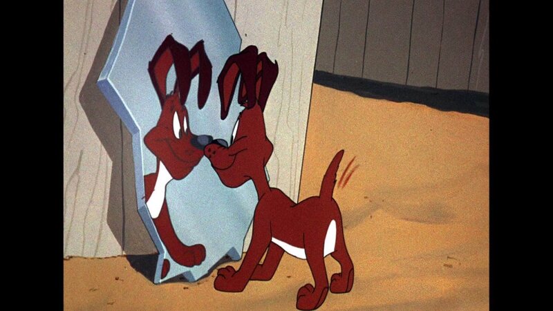 Bugs Bunny und Looney Tunes Bilder TV Wunschliste