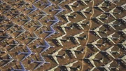 Die Dokumentation zeigt, wie sich die Art des Krieges im Laufe der Zeit verändert hat und welche Rolle neuere und bessere Technologie dabei spielt.