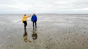 Extra-Reporterin Marlena Busch und Extra-Reporer Burkhard Kresss wagen ein spektakuläres Experiment im Wattenmeer. Weit weg von der Küste kommt die Flut - und zwar schnell. Wie verhält man sich im Notfall. Die beiden Extra-Reporter werden es am eigenen Leib erfahren. +++