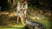 Saltwater crocodile Acco is to be relocated to a temporary home together with partner Cassie.