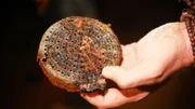 Josh finds the end of a gas mask filter in the newly excavated WWII bunker at Maisy Battery, France.