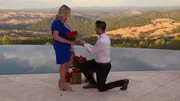 Matt proposes to Kim.