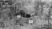 In einem abgelegenen Waldstück wird die Leiche eines Jungen gefunden. Mit der Dokumentation "Mysteriöse Kriminalfälle der DDR" widmet sich ZDFinfo einem undurchsichtigen Feld in der ostdeutschen Geschichte.