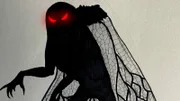 Mothman - die mottenähnliche Kreatur aus West Virginia soll zwei Meter groß sein und riesige Flügel besitzen, mit der sie ihre Opfer verfolgt.