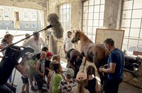 Besuch in der Schauschmiede Steutz am südlichen Rand des Flämings. Der Schmied Tobias Weiß zeigt den Vorschulkindern des Kindergartens „Sandmännchen“, wie ein Pferd neu beschlagen wird.