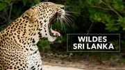 Wildes Sri Lanka