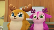 L-R: Kai, Lola