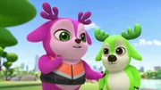 L-R: Lola, Bobbi