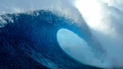 Die Folge "Wasser" zeigt, wie sehr das scheinbar unerschöpfliche Element, von dem alles Leben auf der Erde abhängt, durch menschlichen Einfluss verändert wurde. Wir verschmutzen es, bauen Landschaften um und greifen damit in wichtige Naturkreisläufe ein.