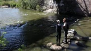Sara La Fountain