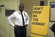 Captain Ray Holt (André Braugher)