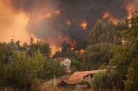 Die Fläche zerstörten Waldes im Mittelmeergebiet durch Waldbrand wird auf 1 Million ha pro Jahr geschätzt. Die Fläche zerstörten Waldes im Mittelmeergebiet durch Waldbrand wird auf 1 Million ha pro Jahr geschätzt.