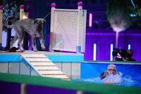 Sissy mit ihrem Riesenschnauzer _Lola_ in Runde 1. Sissy mit ihrem Riesenschnauzer _Lola_ in Runde 1.