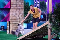 Sabine mit ihrem Sheltie _Niels_ in Runde 1. Sabine mit ihrem Sheltie _Niels_ in Runde 1.