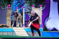 Sissy mit ihrem Riesenschnauzer _Lola_ in Runde 1. Sissy mit ihrem Riesenschnauzer _Lola_ in Runde 1.