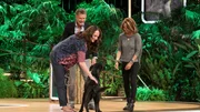 Moderator Jörg Pilawa mit Natalia Wörner (Schauspielerin) und ihrem Hund sowie Christina Plate (Schauspielerin). Weitere Fotos erhalten Sie auf Anfrage.