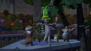 L-R: Marlene, King Julien, Mort, Maurice