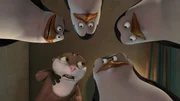L-R: Rico, Marlene, Kowalski, Skipper, Private