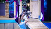 Maik mit seinem Australian Shepherd "Monchi" in Runde 1. Maik mit seinem Australian Shepherd "Monchi" in Runde 1.