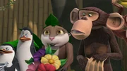 L-R: Private, Kowalski, Marlene, Phil
